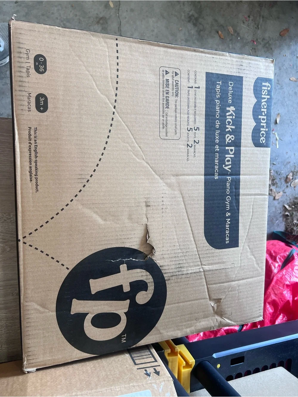 Fisher-Price deluxe play